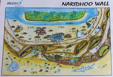 Naridhoo Wall